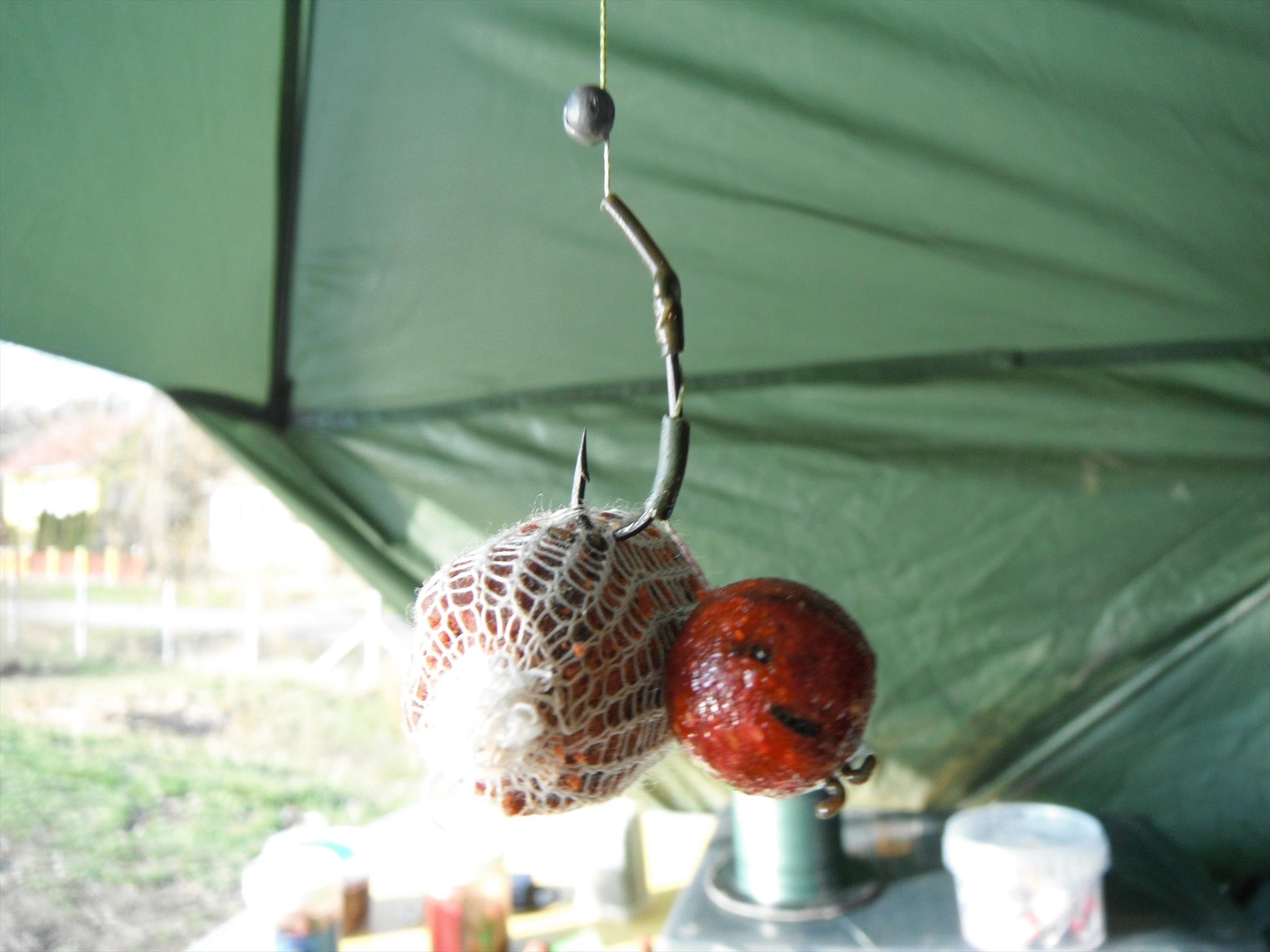 Martie 2013 - Harsany - Martie 2013